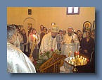 DSC02083 (Medium)